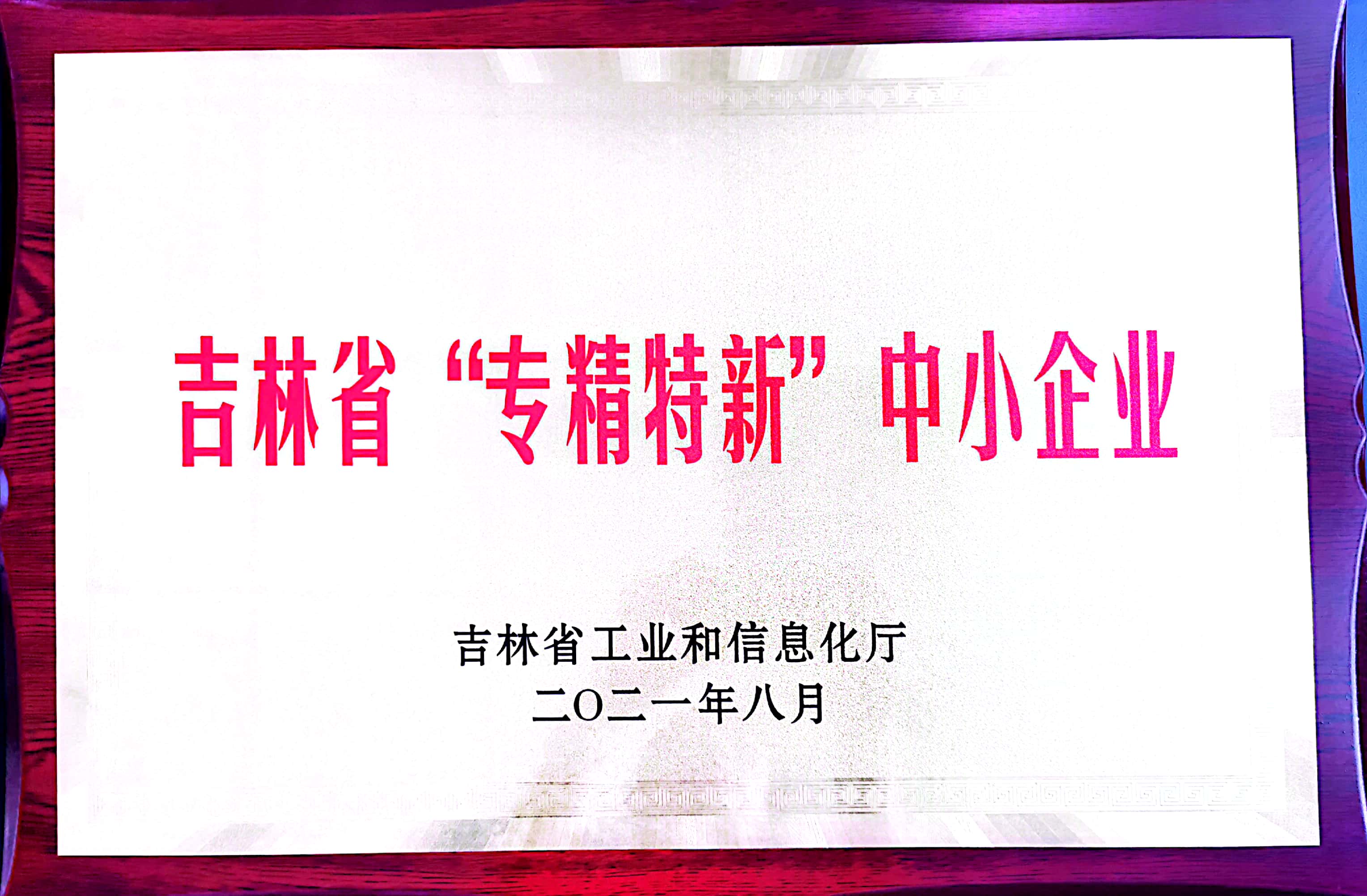 吉林省“專精特新”中小企業